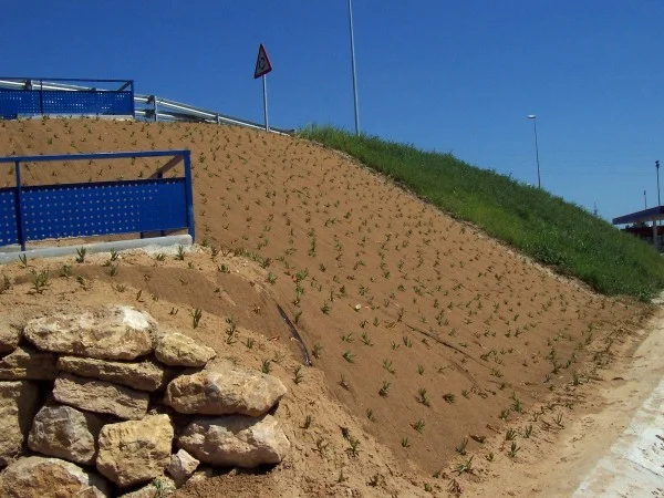 MESURES CORRECTRICES D'IMPACT ENVIRONNEMENTAL. DÉDOUBLEMENT 2ÈME PHASE. TORTOSA-ECHANGEUR. CAMPREDÓ. ROUTE C-42. TRONÇON: TORTOSA-L'ALDEA.
												